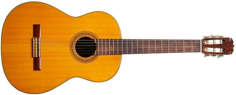 guitar type - classical guitar