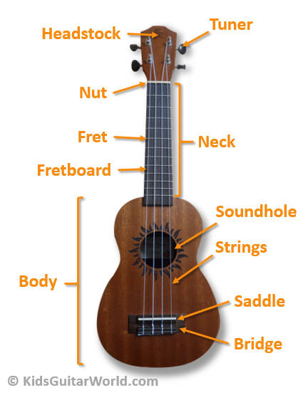 parts of ukulele